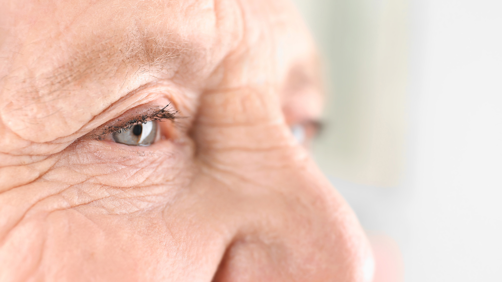 age-related-macular-degeneration-san-jose-gilroy-south-bay-retina